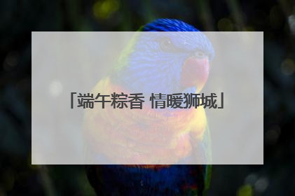 端午粽香 情暖狮城