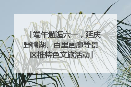 端午邂逅六一，延庆野鸭湖、百里画廊等景区推特色文旅活动