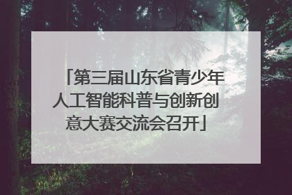 第三届山东省青少年人工智能科普与创新创意大赛交流会召开