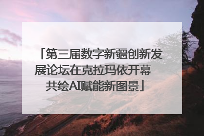 第三届数字新疆创新发展论坛在克拉玛依开幕 共绘AI赋能新图景