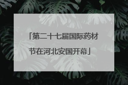 第二十七届国际药材节在河北安国开幕