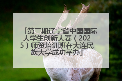 第二期辽宁省中国国际大学生创新大赛（2025）师资培训班在大连民族大学成功举办