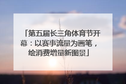 第五届长三角体育节开幕：以赛事流量为画笔，绘消费增量新图景