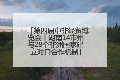 第四届中非经贸博览会丨湖南14市州与28个非洲国家建立对口合作机制