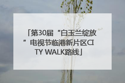 第30届“白玉兰绽放”电视节临港新片区CITY WALK路线