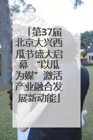 第37届北京大兴西瓜节盛大启幕 “以瓜为媒”激活产业融合发展新动能