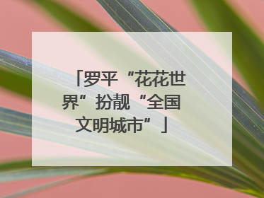 罗平“花花世界”扮靓“全国文明城市”