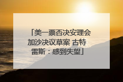 美一票否决安理会加沙决议草案 古特雷斯：感到失望