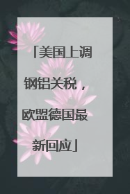 美国上调钢铝关税，欧盟德国最新回应