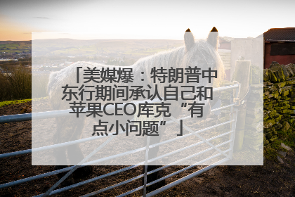 美媒爆：特朗普中东行期间承认自己和苹果CEO库克“有点小问题”