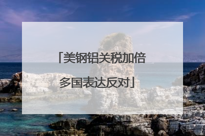 美钢铝关税加倍 多国表达反对