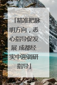 精准把脉明方向，悉心指导促发展 成都经实中迎调研指导