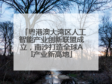 粤港澳大湾区人工智能产业创新联盟成立，南沙打造全球AI产业新高地