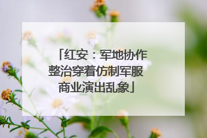 红安：军地协作整治穿着仿制军服商业演出乱象