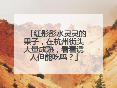 红彤彤水灵灵的果子，在杭州街头大量成熟，看着诱人但能吃吗？