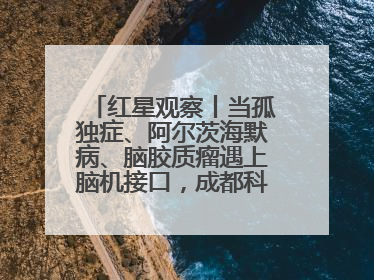 红星观察丨当孤独症、阿尔茨海默病、脑胶质瘤遇上脑机接口，成都科研改变医学图景