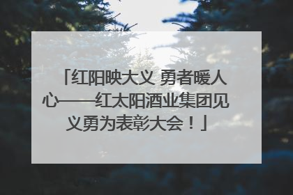 红阳映大义 勇者暖人心——红太阳酒业集团见义勇为表彰大会！