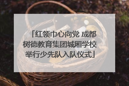 红领巾心向党 成都树德教育集团城厢学校举行少先队入队仪式