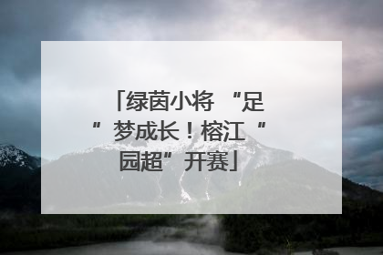 绿茵小将 “足”梦成长！榕江“园超”开赛