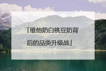 维他奶白桃豆奶背后的品类升级战