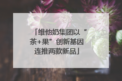 维他奶集团以“茶+果”创新基因连推两款新品