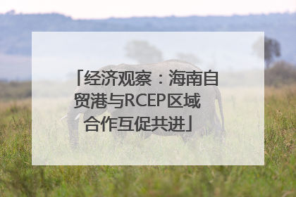 经济观察：海南自贸港与RCEP区域合作互促共进