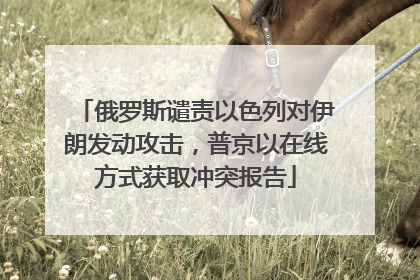 俄罗斯谴责以色列对伊朗发动攻击，普京以在线方式获取冲突报告
