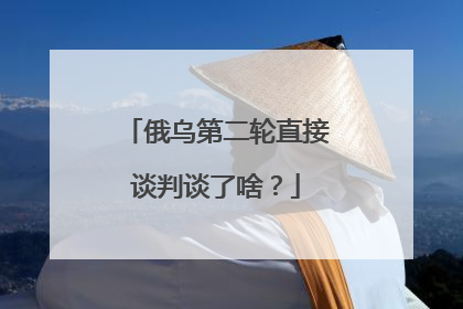 俄乌第二轮直接谈判谈了啥？