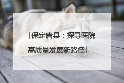 保定唐县：探寻医院高质量发展新路径