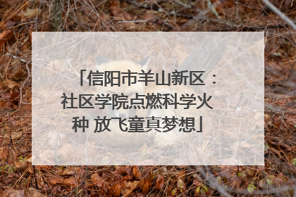 信阳市羊山新区：社区学院点燃科学火种 放飞童真梦想