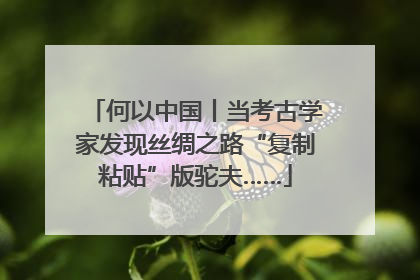何以中国丨当考古学家发现丝绸之路“复制粘贴”版驼夫……