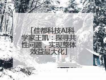 佳都科技AI科学家王凯：探寻共性问题，实现整体效益最大化