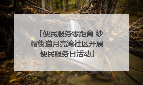 便民服务零距离 纱帽街道月亮湾社区开展便民服务日活动