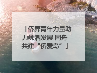侨界青年力量助力嵊泗发展 同舟共建“侨爱岛”