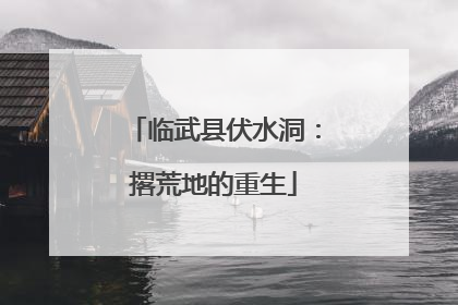 临武县伏水洞：撂荒地的重生