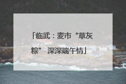 临武：麦市“草灰粽” 深深端午情