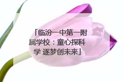 临汾一中第一附属学校：童心探科学 逐梦创未来
