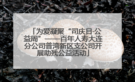 为爱凝聚“司庆日·公益周”——百年人寿大连分公司普湾新区支公司开展助残公益活动