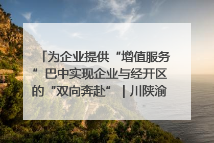 为企业提供“增值服务”巴中实现企业与经开区的“双向奔赴”｜川陕渝网络名人巴中行