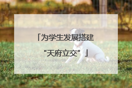 为学生发展搭建“天府立交”