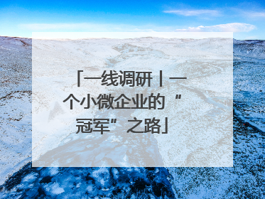 一线调研丨一个小微企业的“冠军”之路