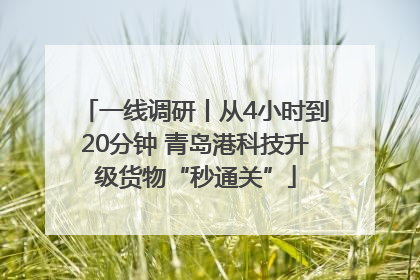 一线调研丨从4小时到20分钟 青岛港科技升级货物“秒通关”