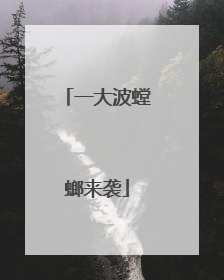 一大波螳螂来袭