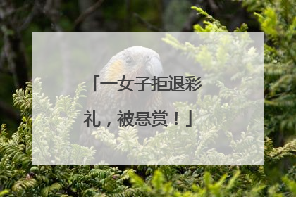 一女子拒退彩礼，被悬赏！