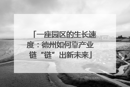 一座园区的生长速度：德州如何靠产业链“链”出新未来