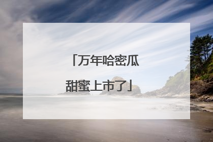 万年哈密瓜甜蜜上市了