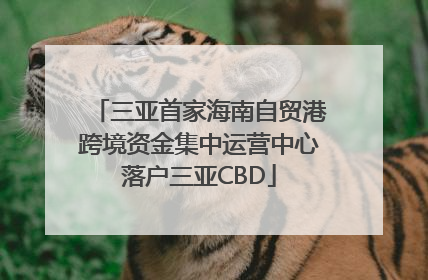 三亚首家海南自贸港跨境资金集中运营中心落户三亚CBD