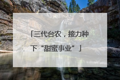 三代台农，接力种下“甜蜜事业”