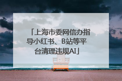 上海市委网信办指导小红书、B站等平台清理违规AI