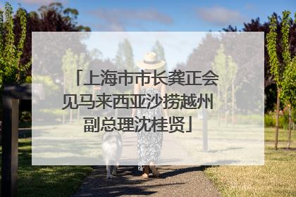 上海市市长龚正会见马来西亚沙捞越州副总理沈桂贤